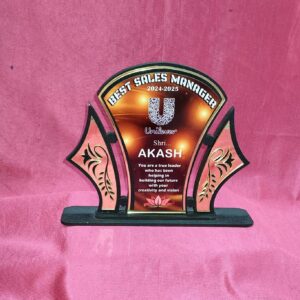 MDF Trophy MWM-02 wooden award for corporate and school recognition ceremonies