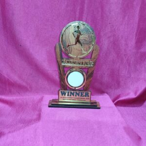 MDF Trophy MWM-10 wooden award for corporate and school recognition ceremonies